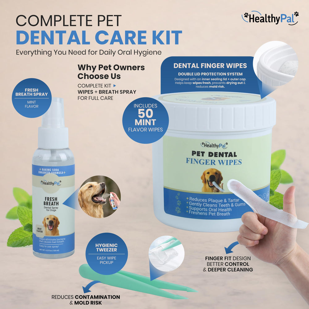 HealthyPal lingette dentaire sur dents facilite une routine sans brossage.