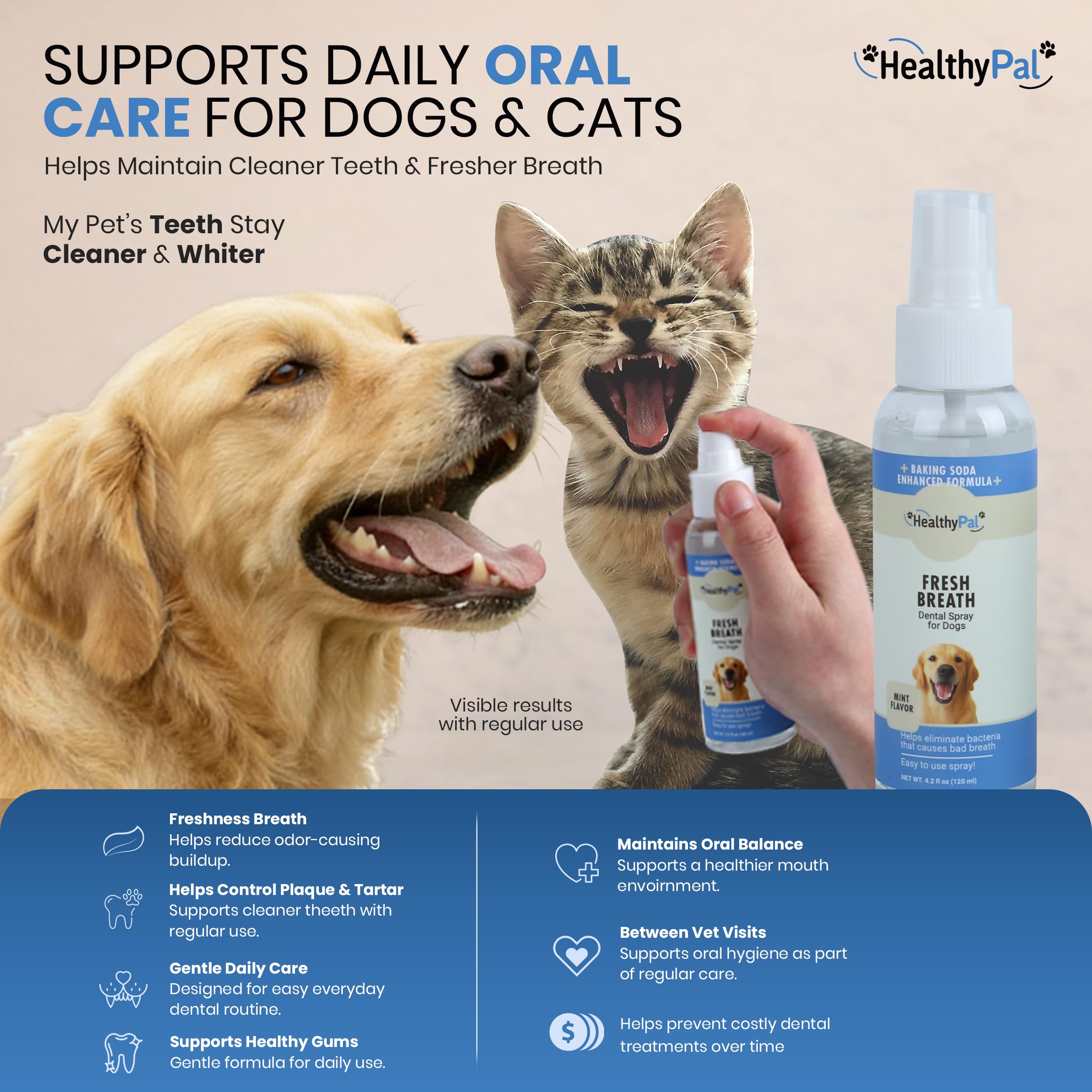 HealthyPal kit dentisterie complet pour soins simples à domicile ou en déplacement.