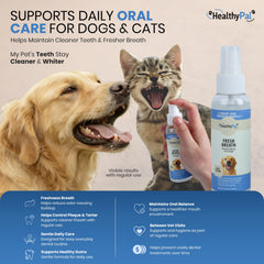 HealthyPal kit dentisterie complet pour soins simples à domicile ou en déplacement.