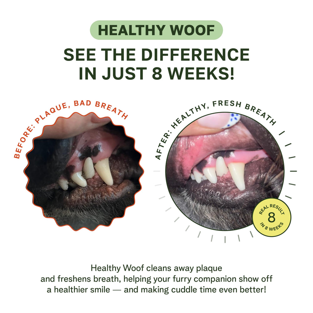 Application sur nourriture Healthy Woof pour un usage quotidien sans brossage.