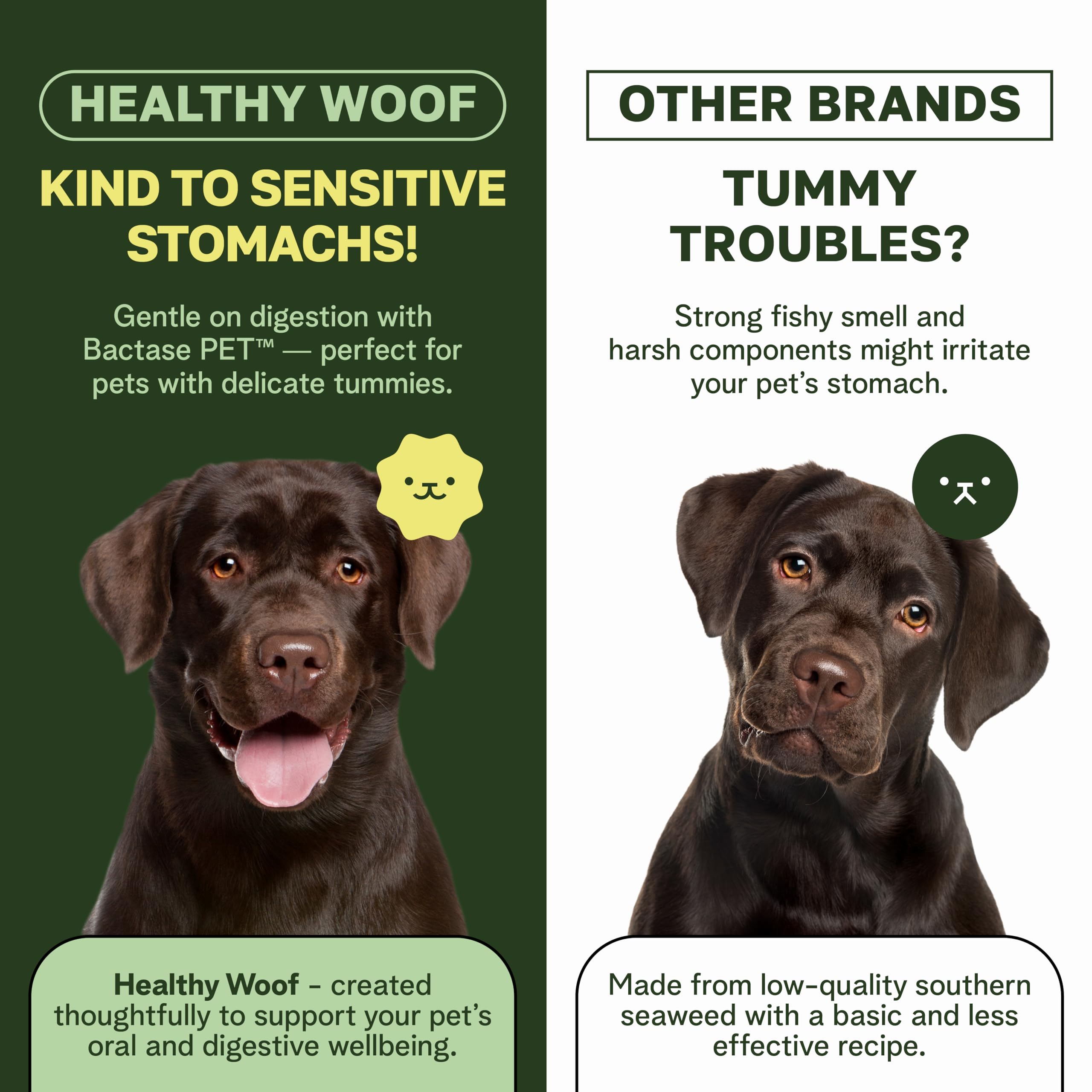 Poudre dentaire Healthy Woof potentiellement utile contre l’accumulation et le tartre.