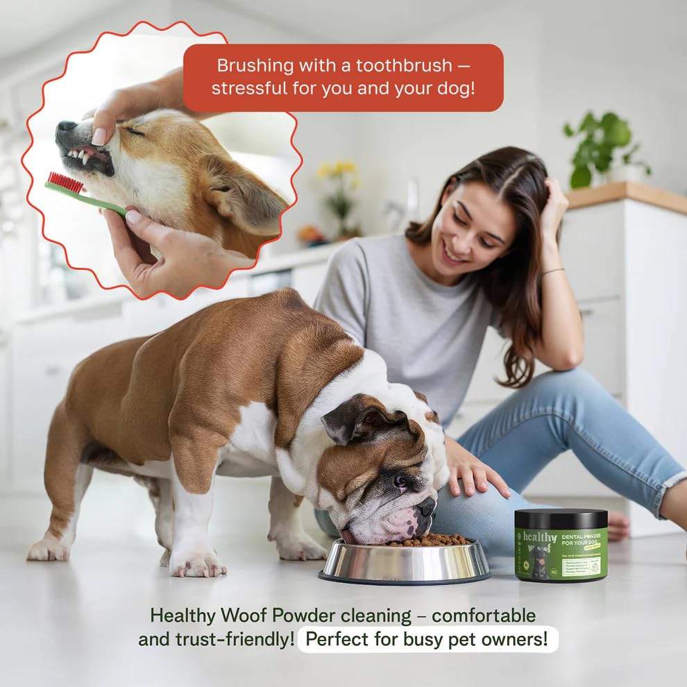 Chien saupoudre la poudre Healthy Woof sur sa nourriture, soin dentaire sans brossage.