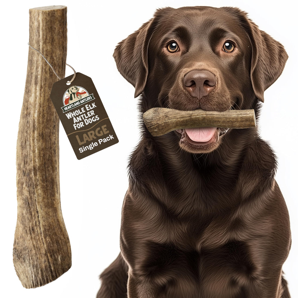 Heartland Antlers emballage: présentation soignée, friandise naturelle idéale pour chiens.