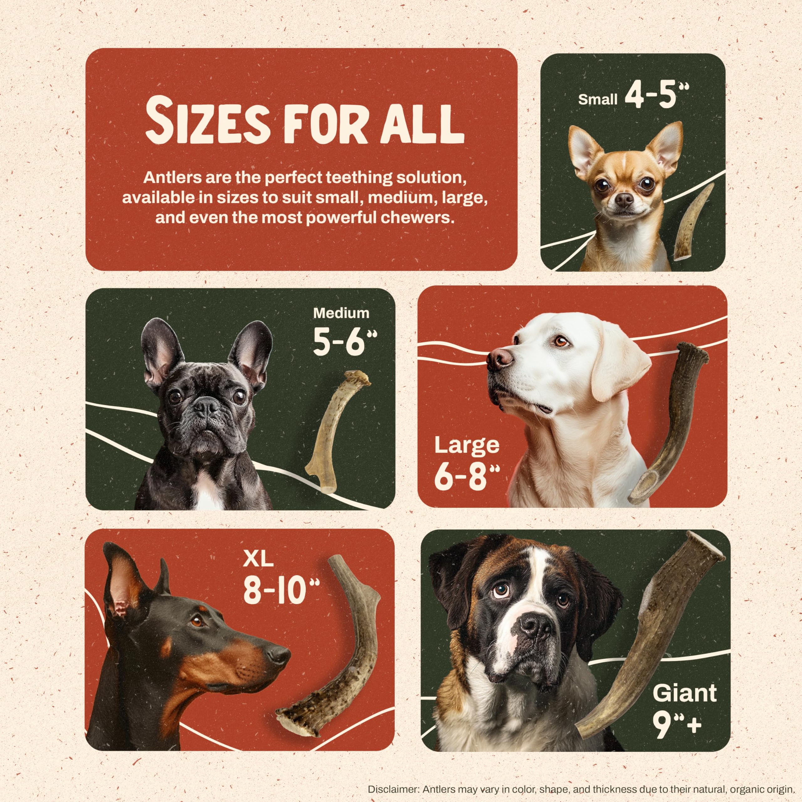 Heartland Antlers: taille adaptée pour chiens, sécurité et confort.