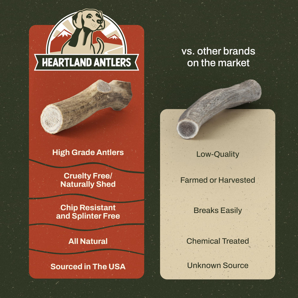 Heartland Antlers usage-dans-maison: idéal pour les chiens de toutes tailles, sans salissures.