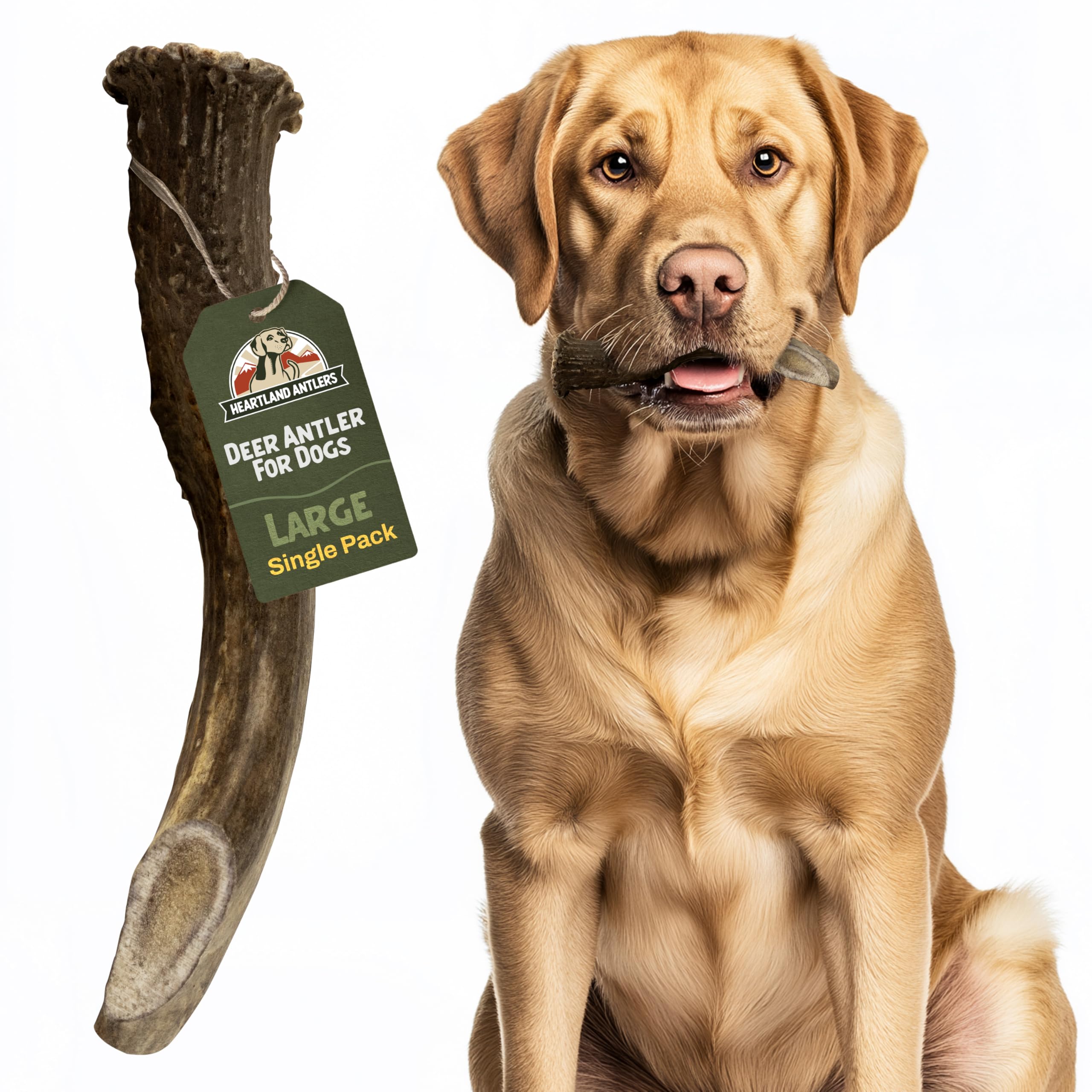 Heartland Antlers : cornes de cerf grandes pour chien, soin dentaire naturel et agréable.