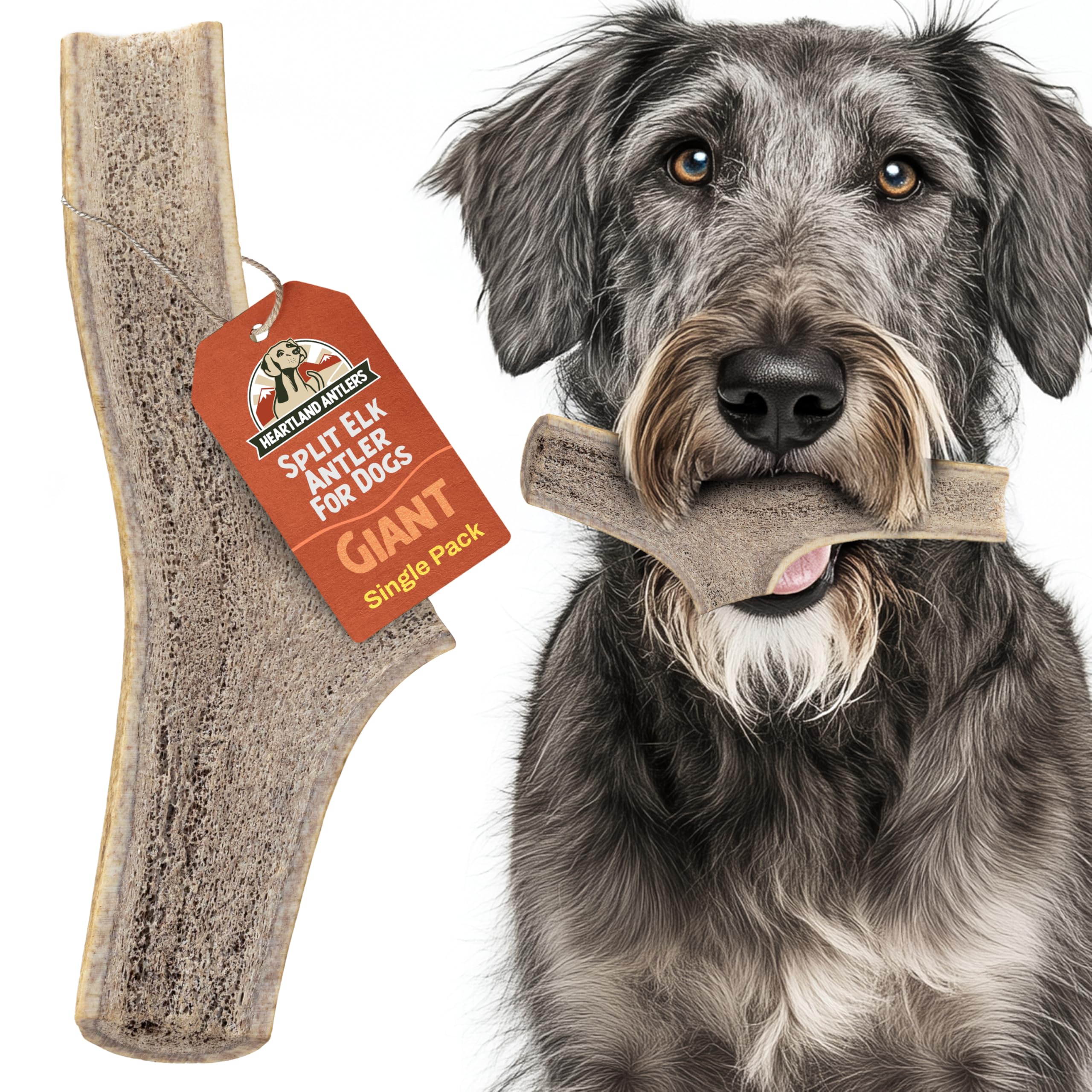 Heartland Elk Antlers pour chiens – dents propres grâce à la mastication prolongée