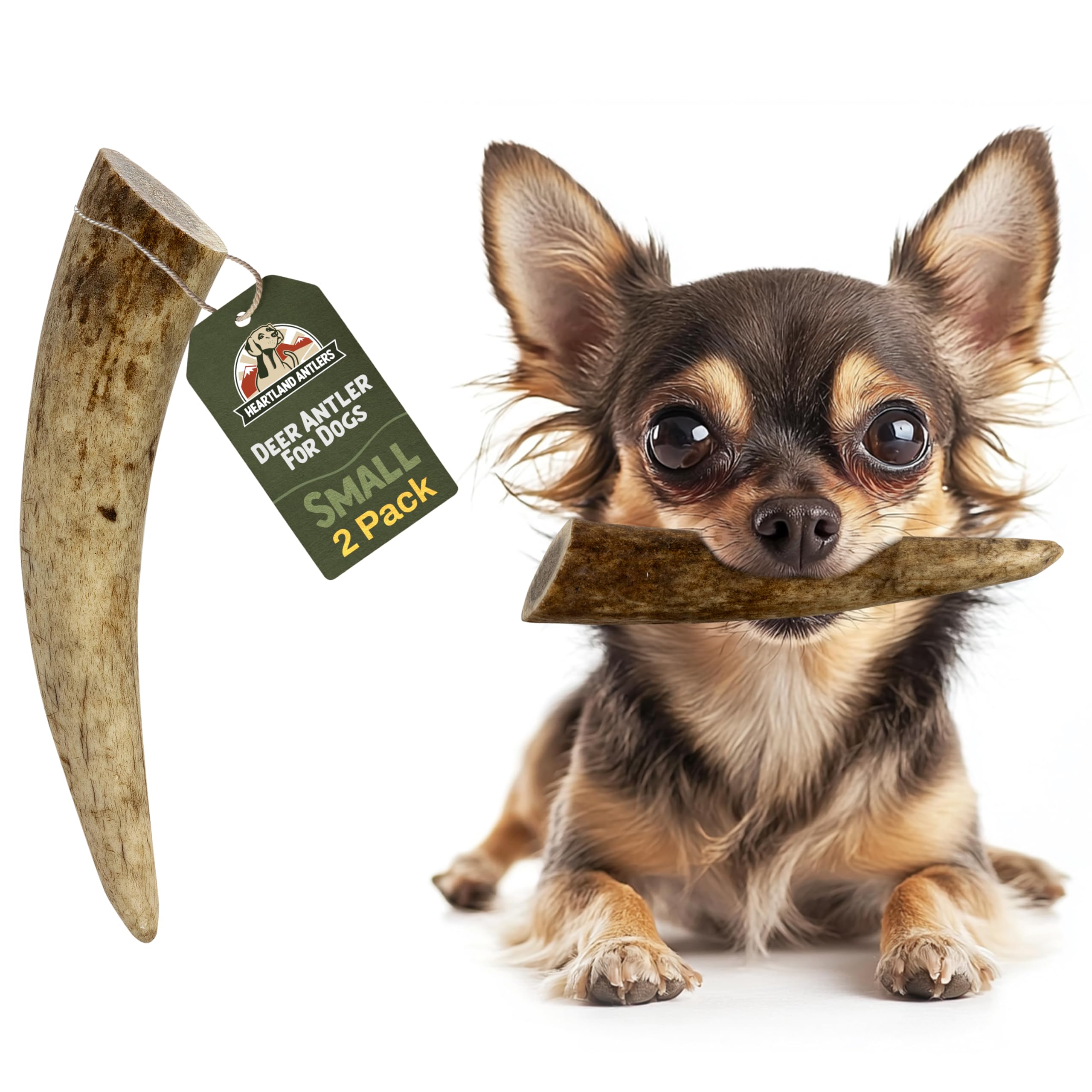 Heartland ramures de cerf pour chien – pack petit pour dentition naturelle