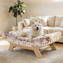 HEAVE SPROUT cadre bois naturel elevé pour chien, ventilation à 360°