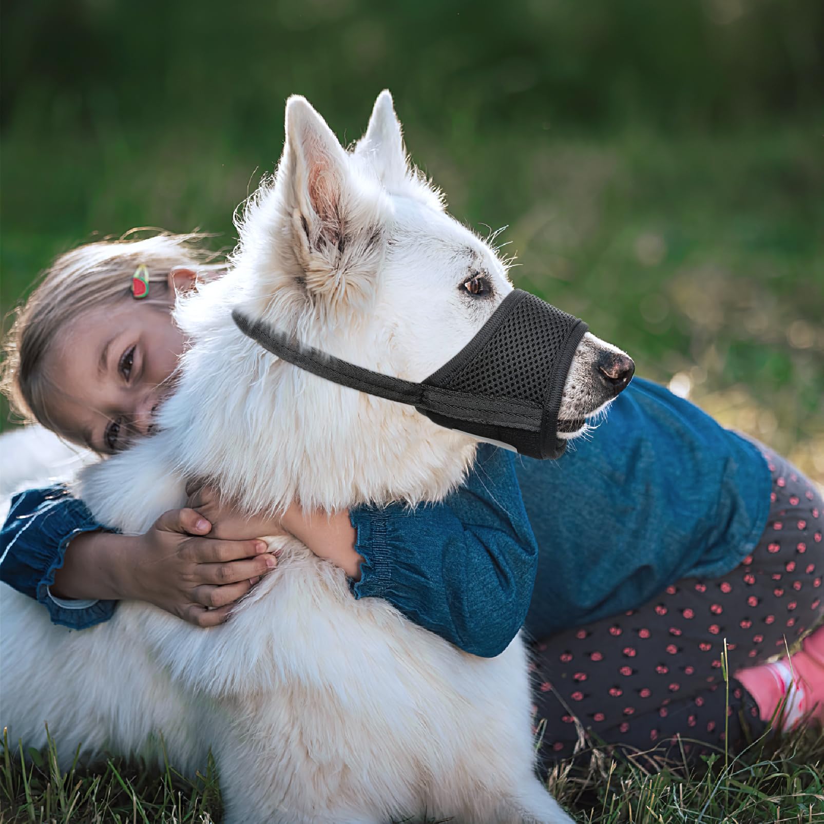 HEELE muselière chien guide des tailles pour choisir le modèle.