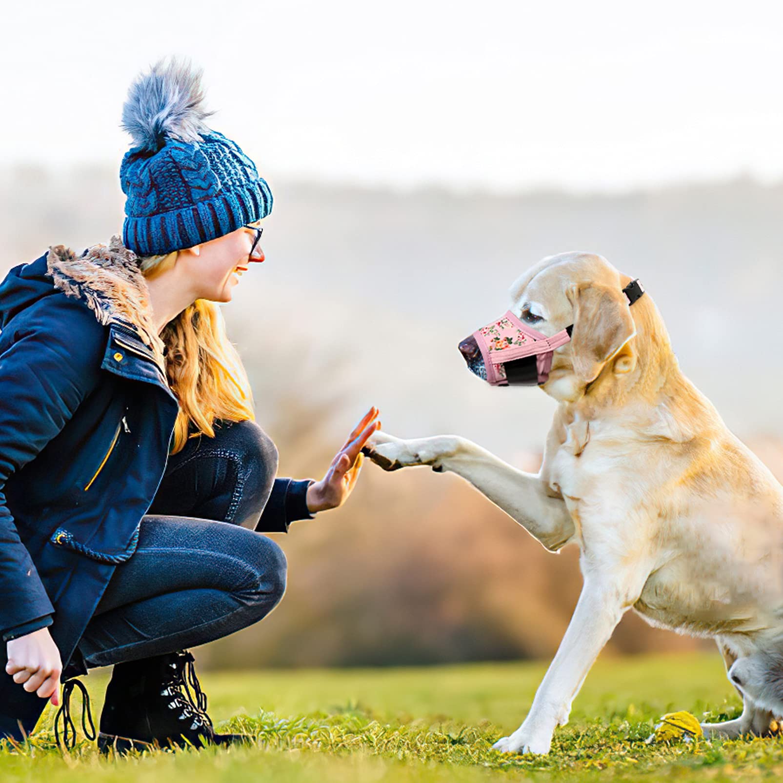 Guide tailles clair pour choisir la museliere HEELE adaptée au chien.