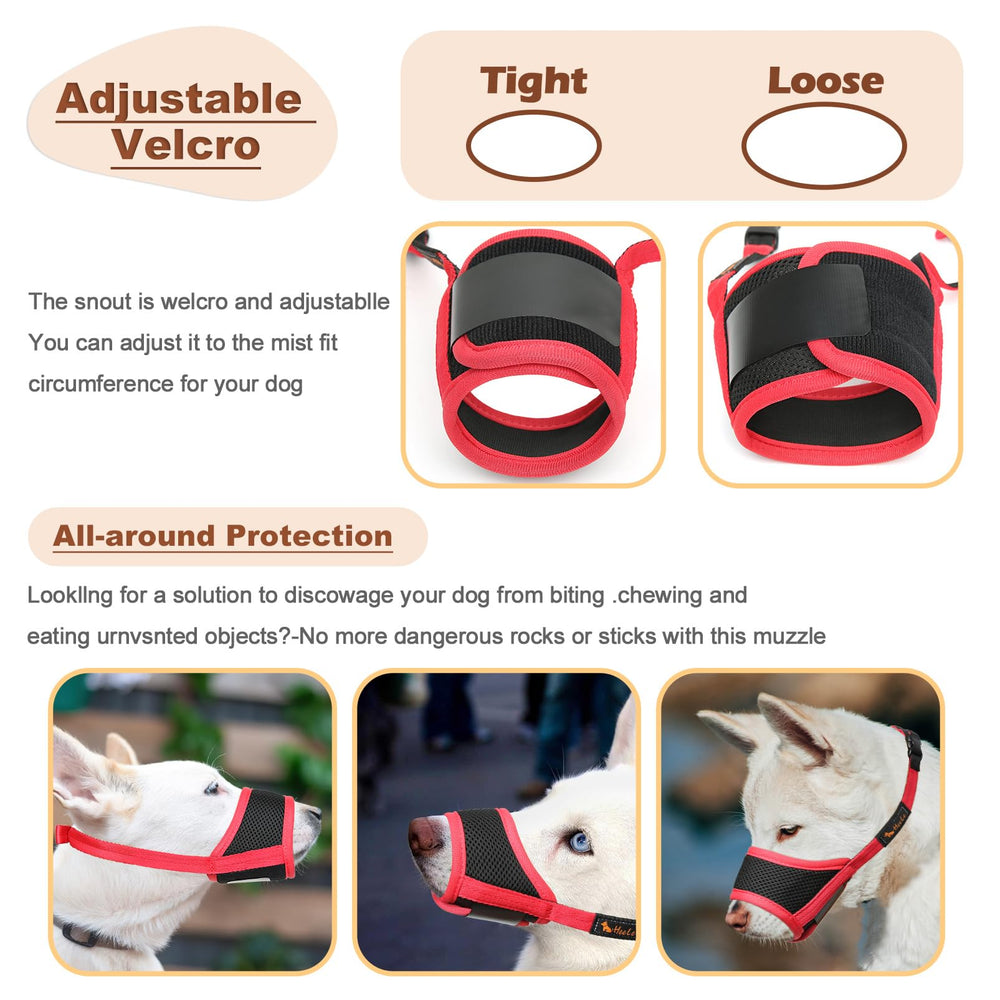 HEELE masque chien boucle auto-agrippante pour enfiler facilement.