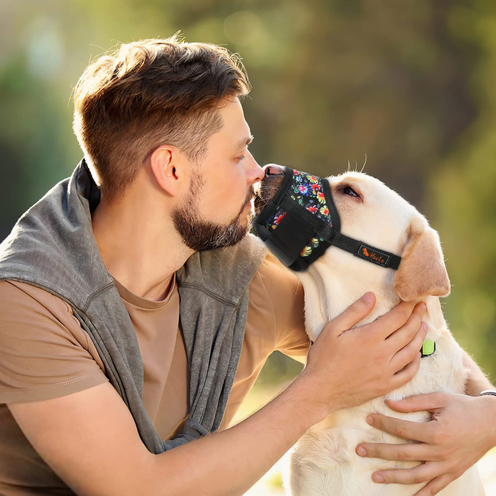 HEELE masque chien coloris 4 couleurs pour s'adapter au style du chien
