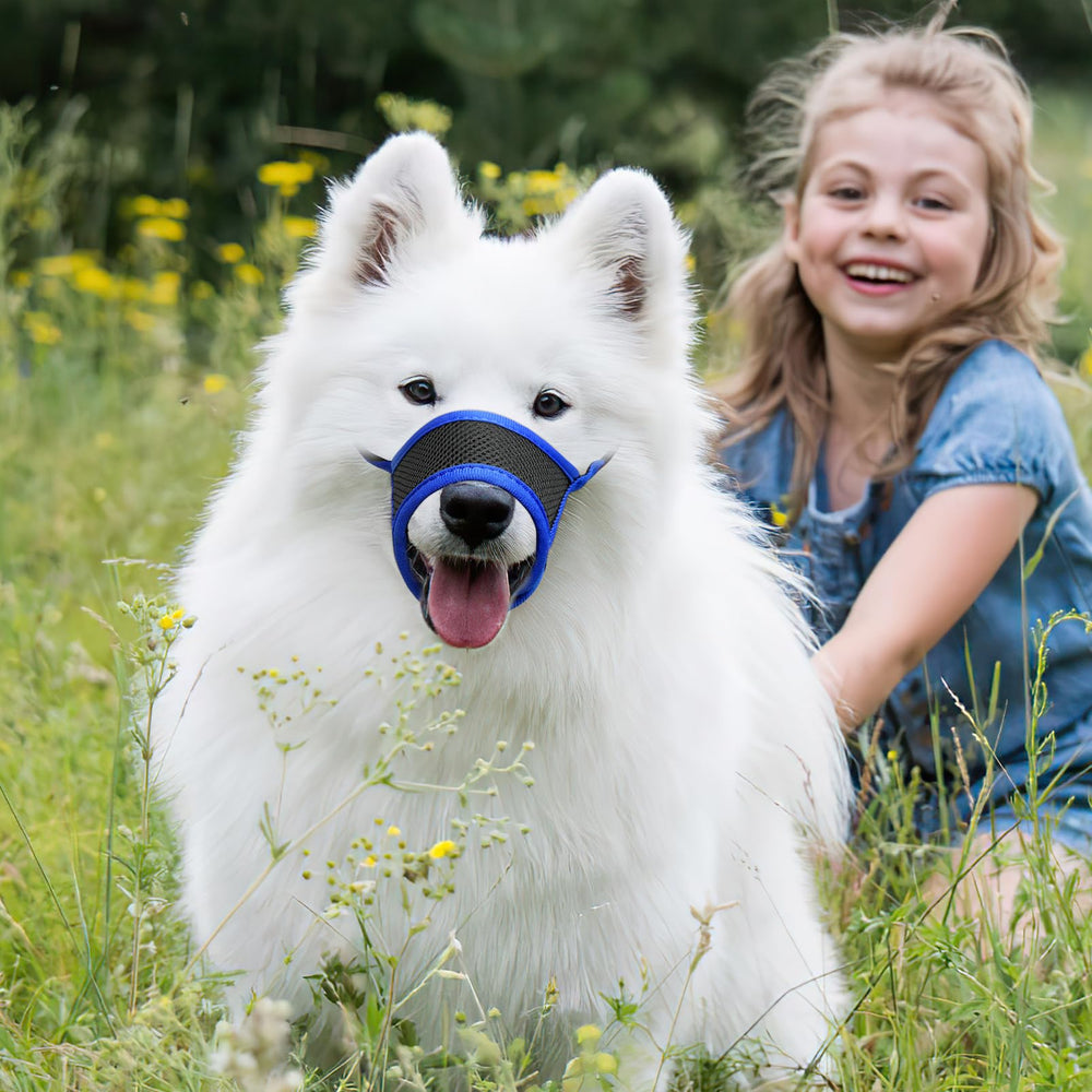 HEELE masque chien guide tailles, trouvez rapidement le bon ajustement