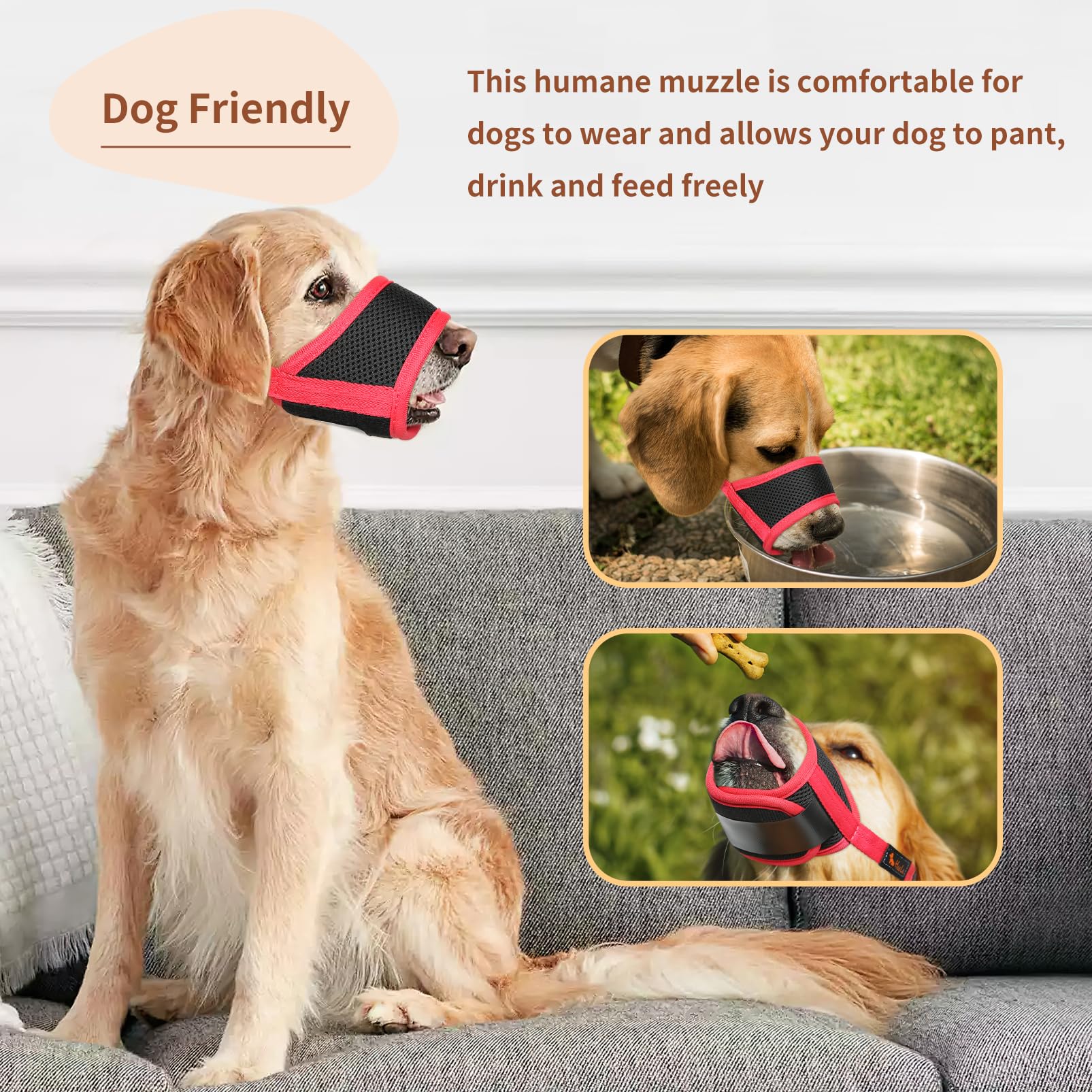 HEELE masque chien idéal pour socialisation sécurisée lors des balades.
