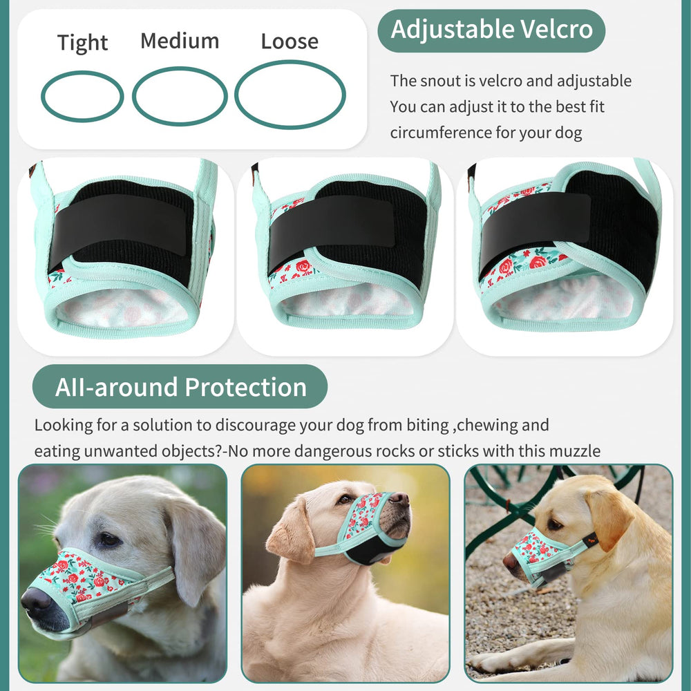 HEELE museau pour chien eau et respiration, espace boire intégré.