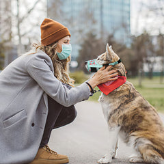 HEELE museau pour chien maillage aérien, confort durable.