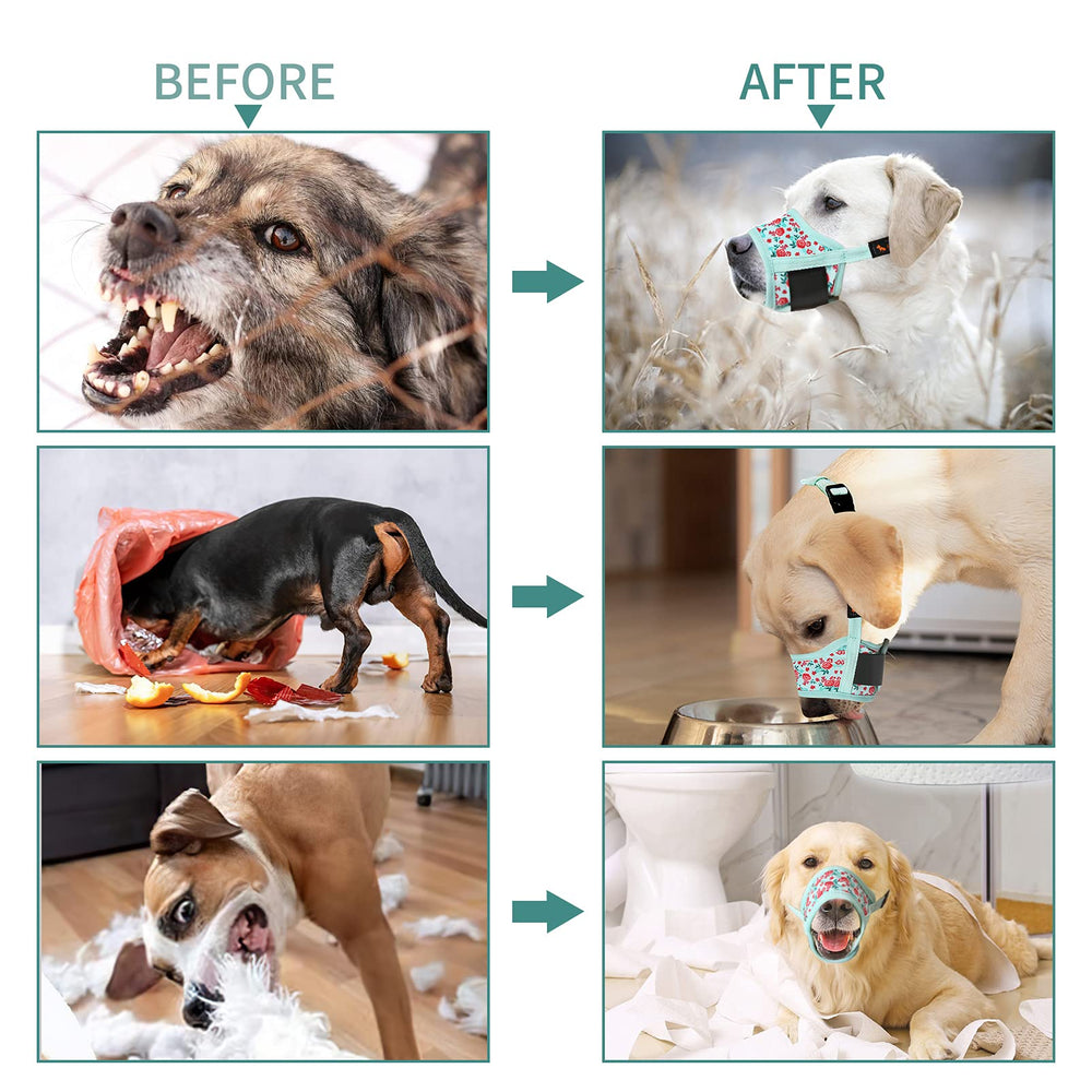 HEELE museau pour chien facile à nettoyer, lavage pratique.