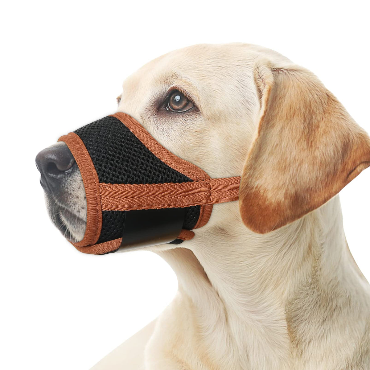 HEELE museau chien en nylon doux et respirant pour le confort lors des sorties.