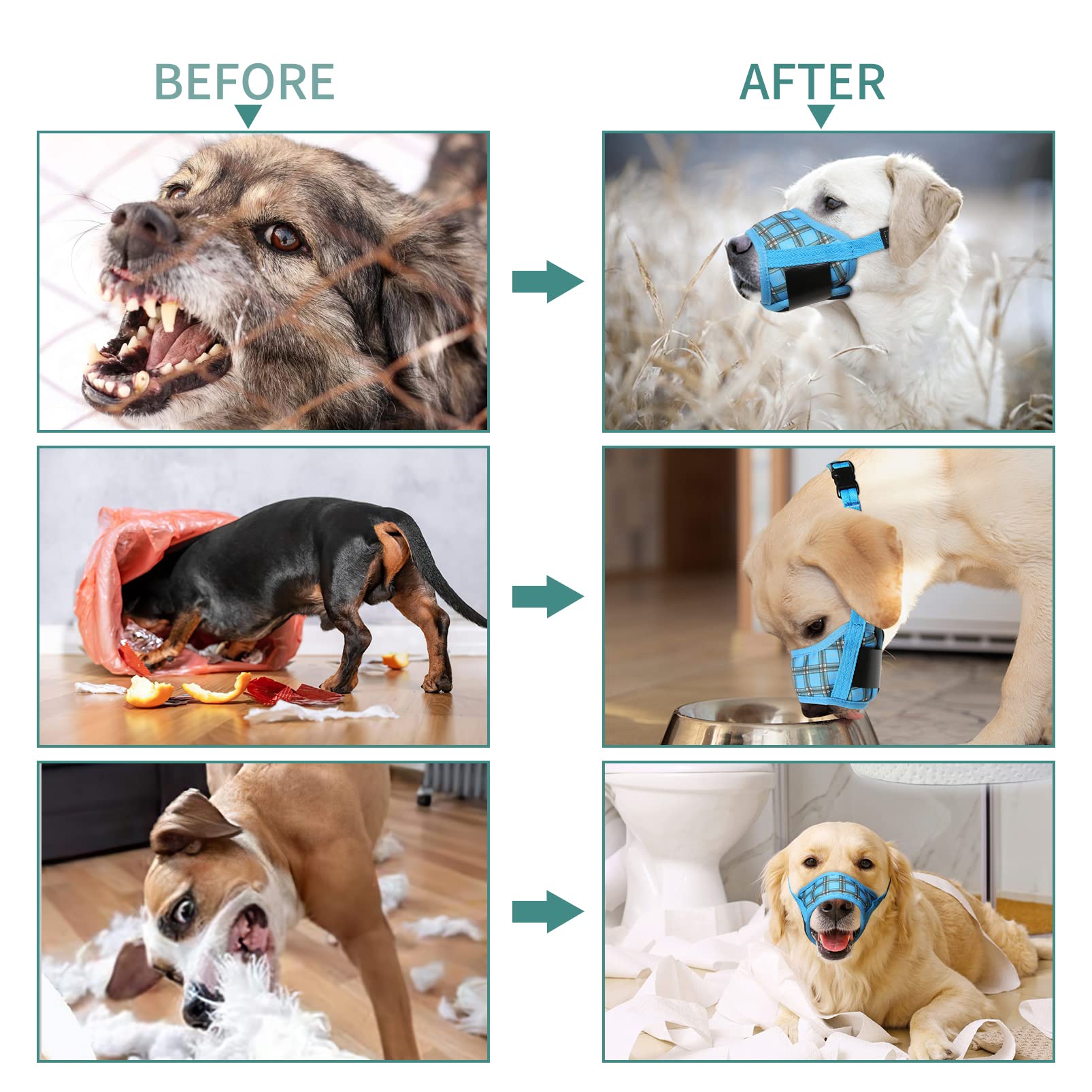 HEELE museau chien pour socialisation sécurisée et interactions responsables.