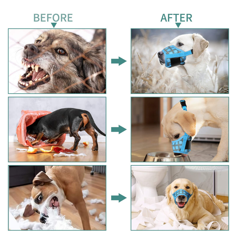 HEELE museau chien pour socialisation sécurisée et interactions responsables.
