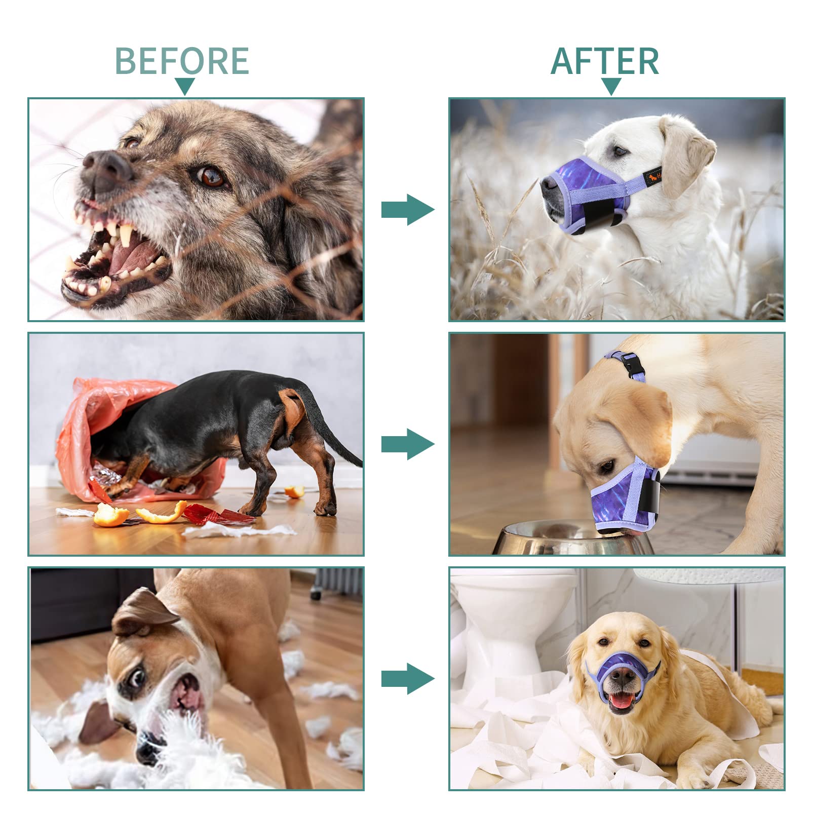 HEELE fermeture velcro fiable et ajustement stable sur tous les chiens.