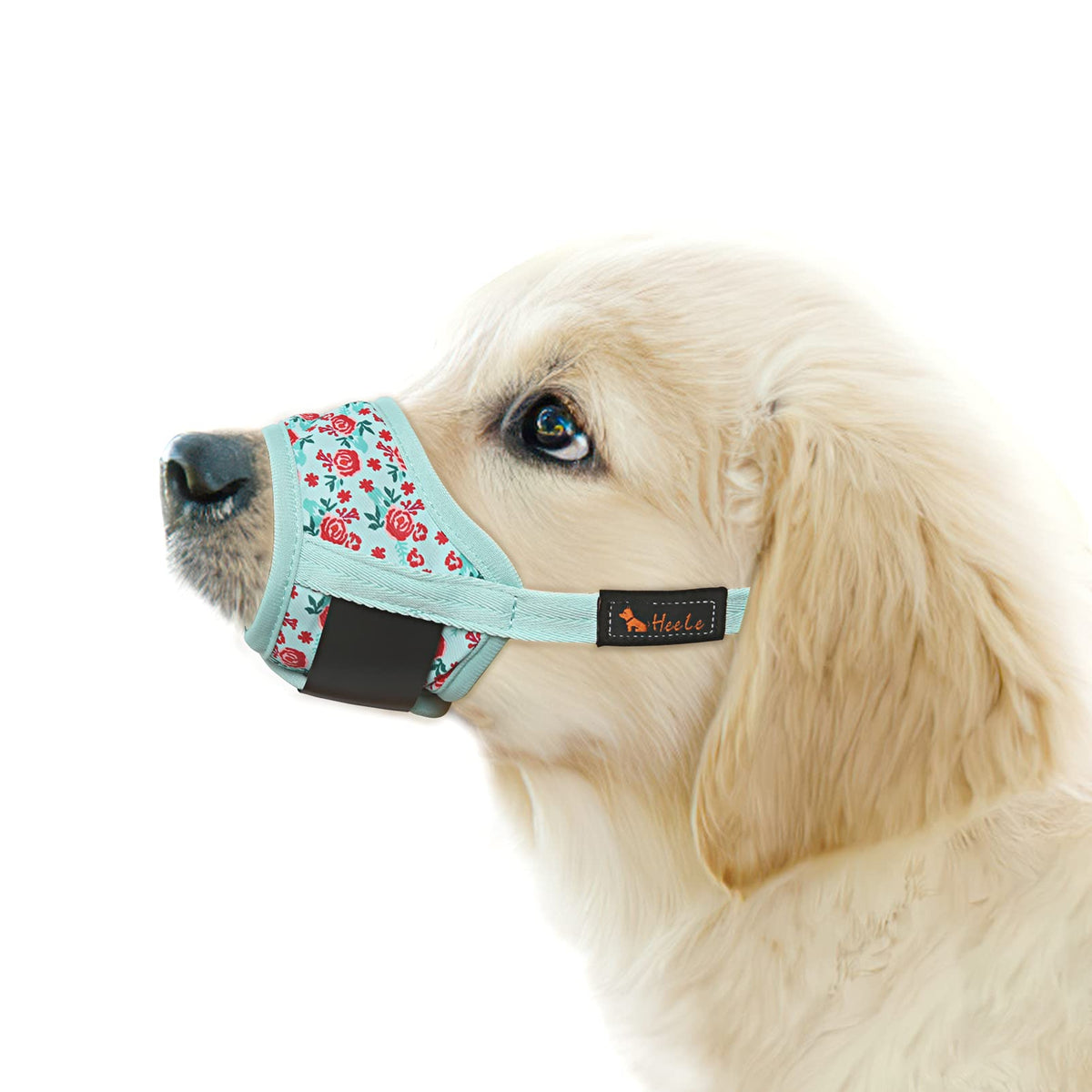 Muselière HEELE pour chien en nylon ajustable assure un maintien sûr.