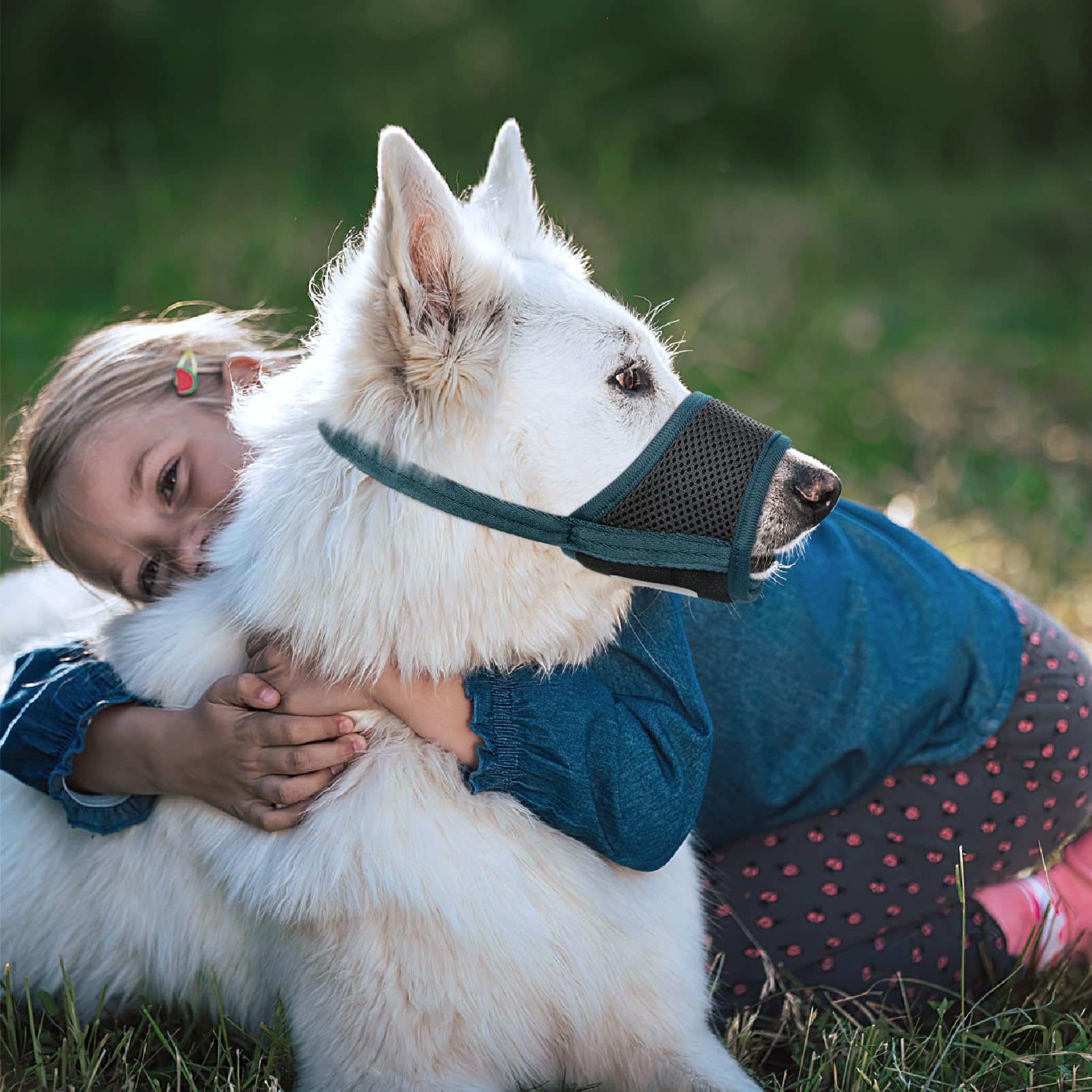 HEELE Muzzle adaptée à toutes tailles pour socialisation sécurisée