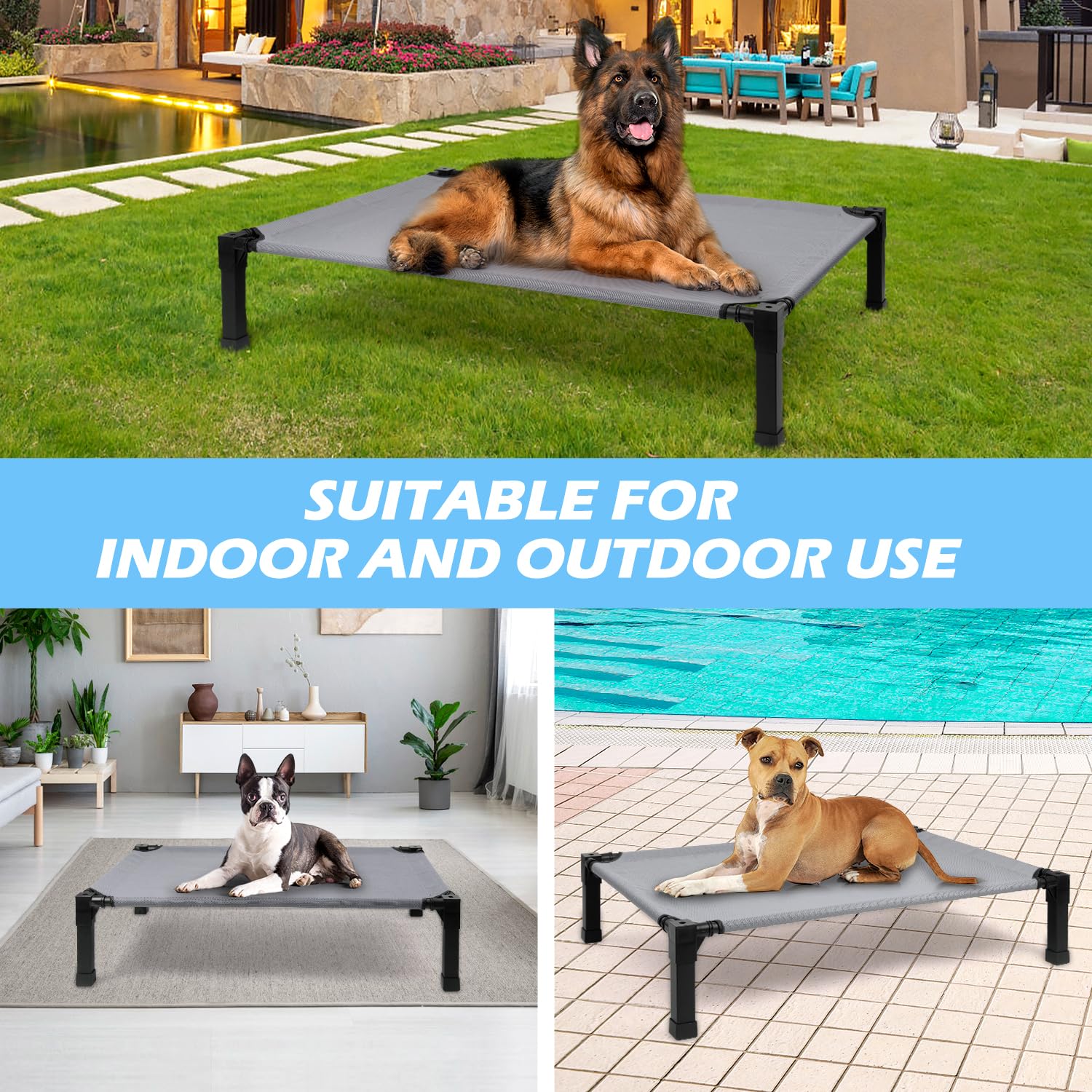 Structure robuste en acier et matériau durable pour chiens actifs Heeyoo.