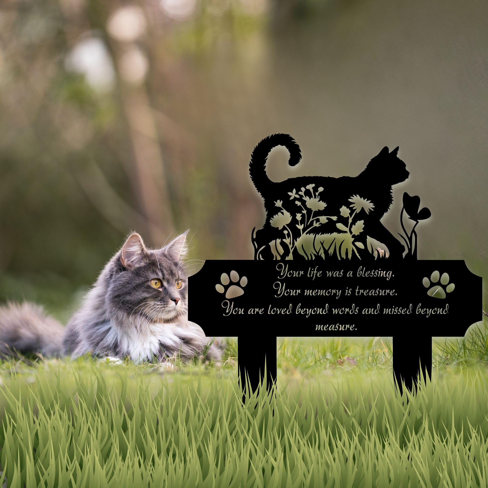 Cadeau sympathie HEGANITS pour un chat cher.