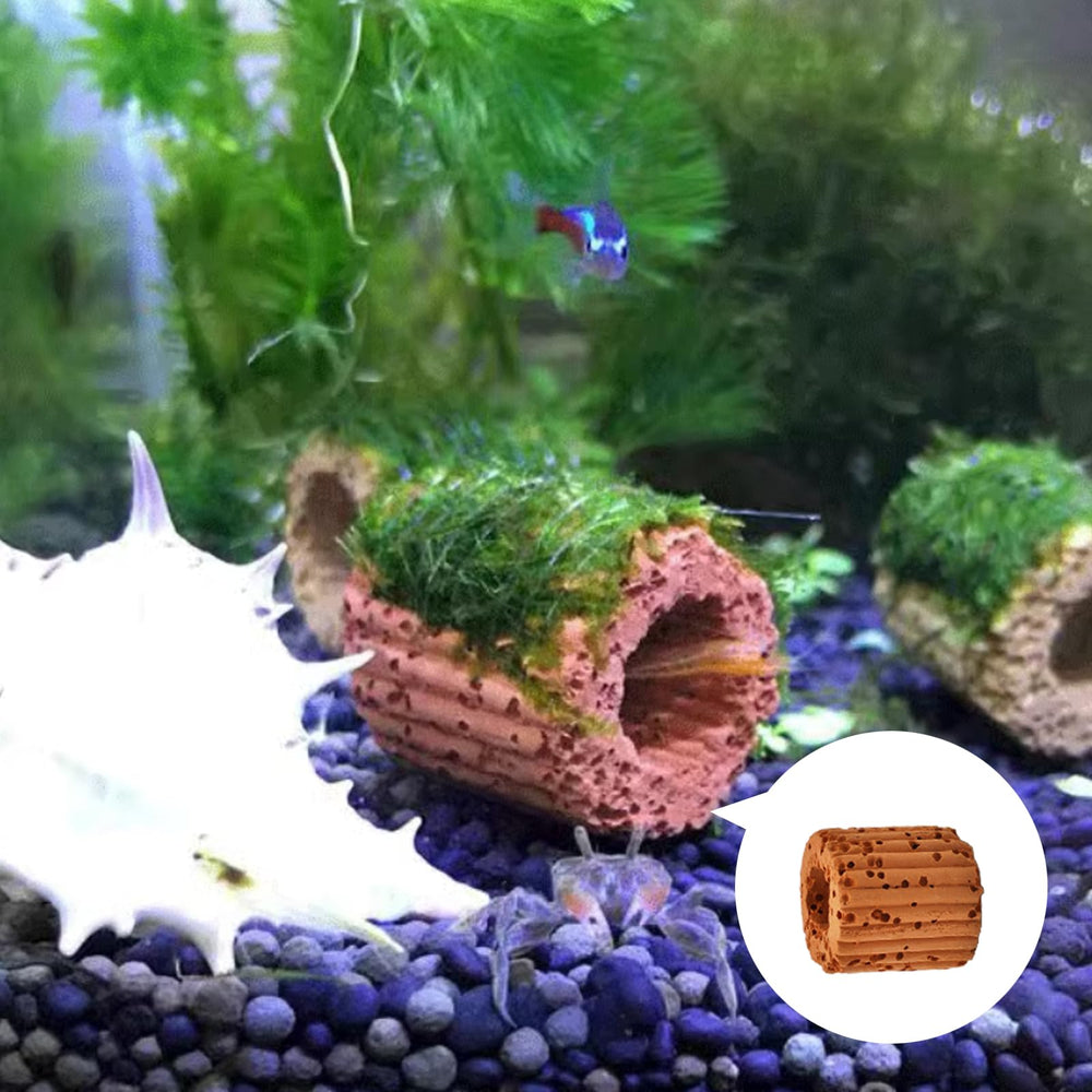HEHIPLE, kit décoratif pour organiser les plantes dans l’aquarium.