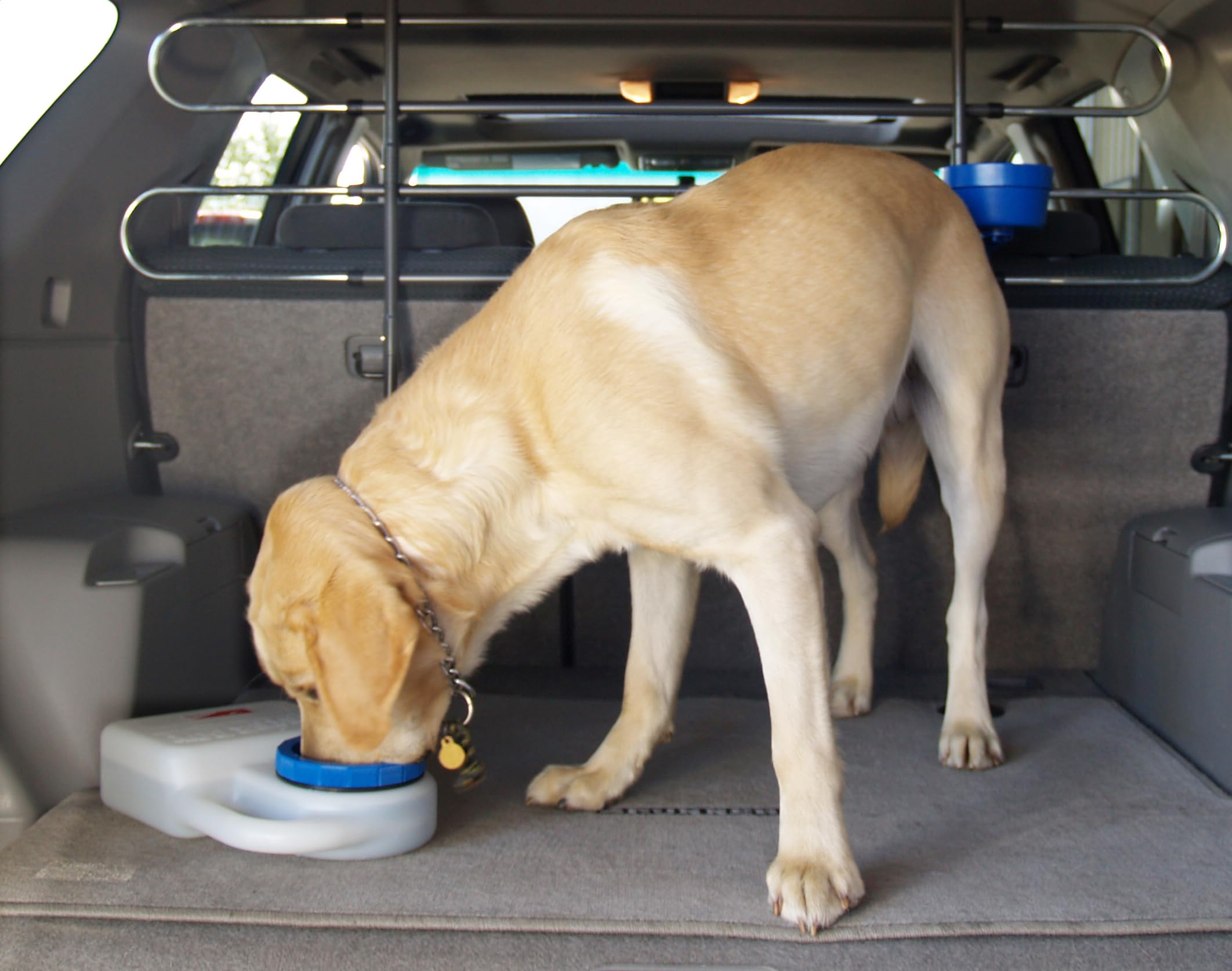 WaterBoy utilisation en voiture et cage, idéal pour chiens
