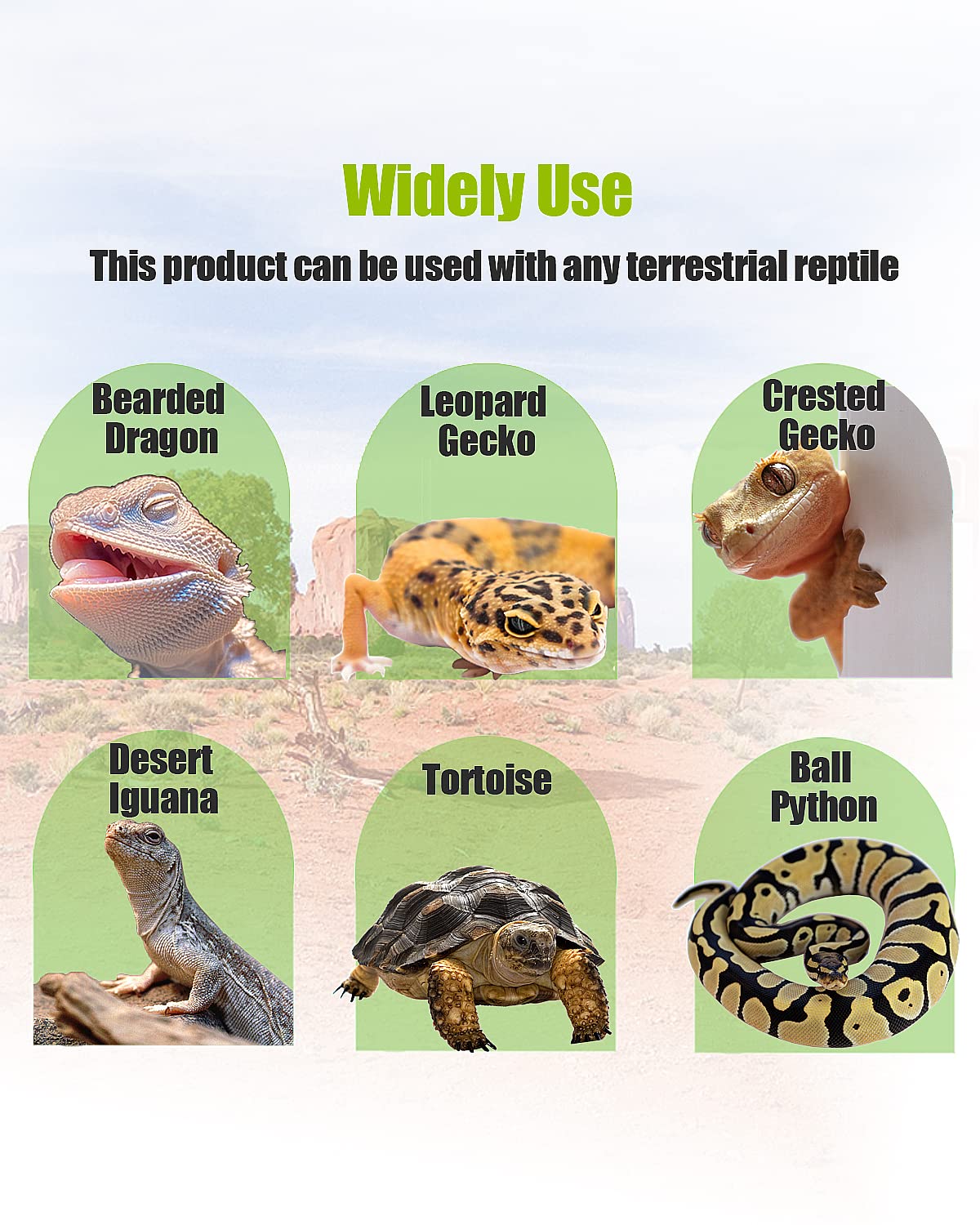 Helidrago tapis-compatibilite-reptile-noir, adapté à geckos, serpents et reptiles variés.