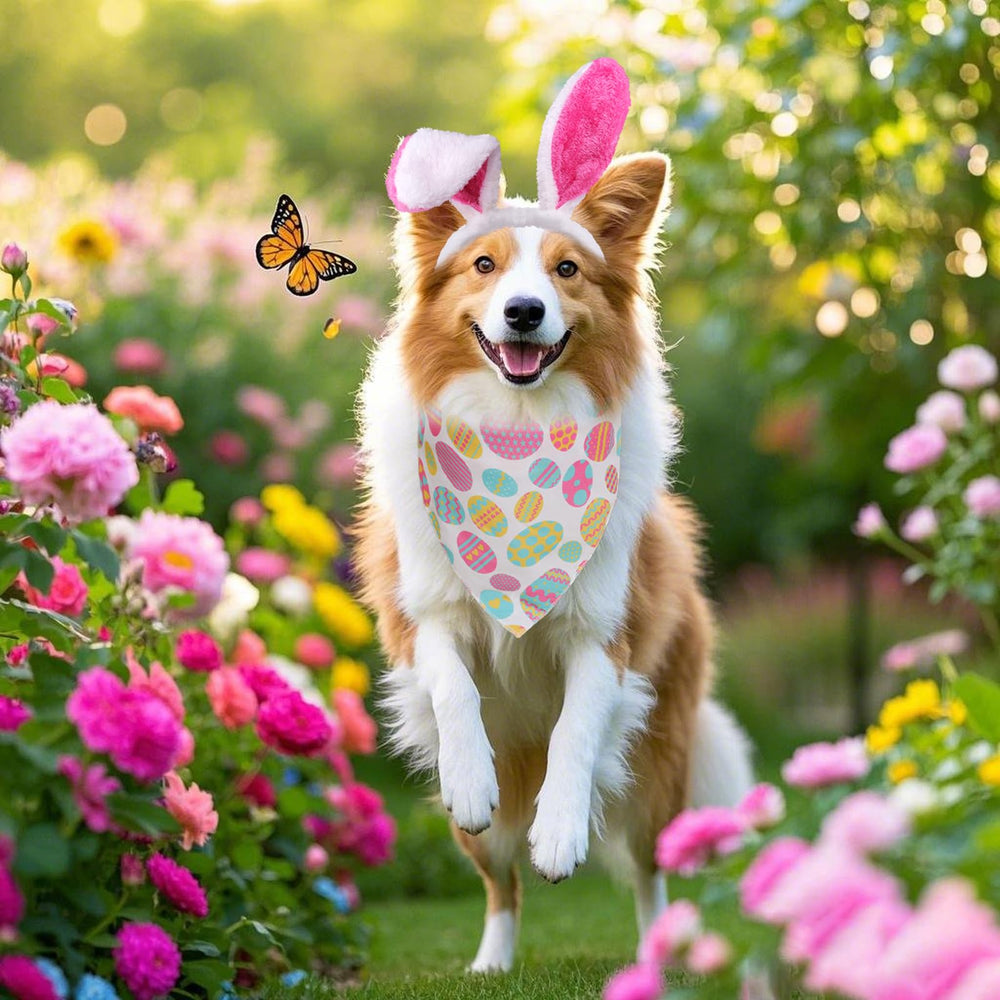 Heliltd, tenue de Pâques pour chien, cadeau original et charmant.