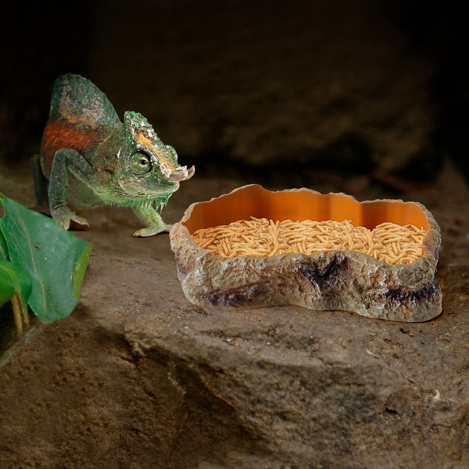 Bol HELIME en résine, élément décoratif discret pour terrarium