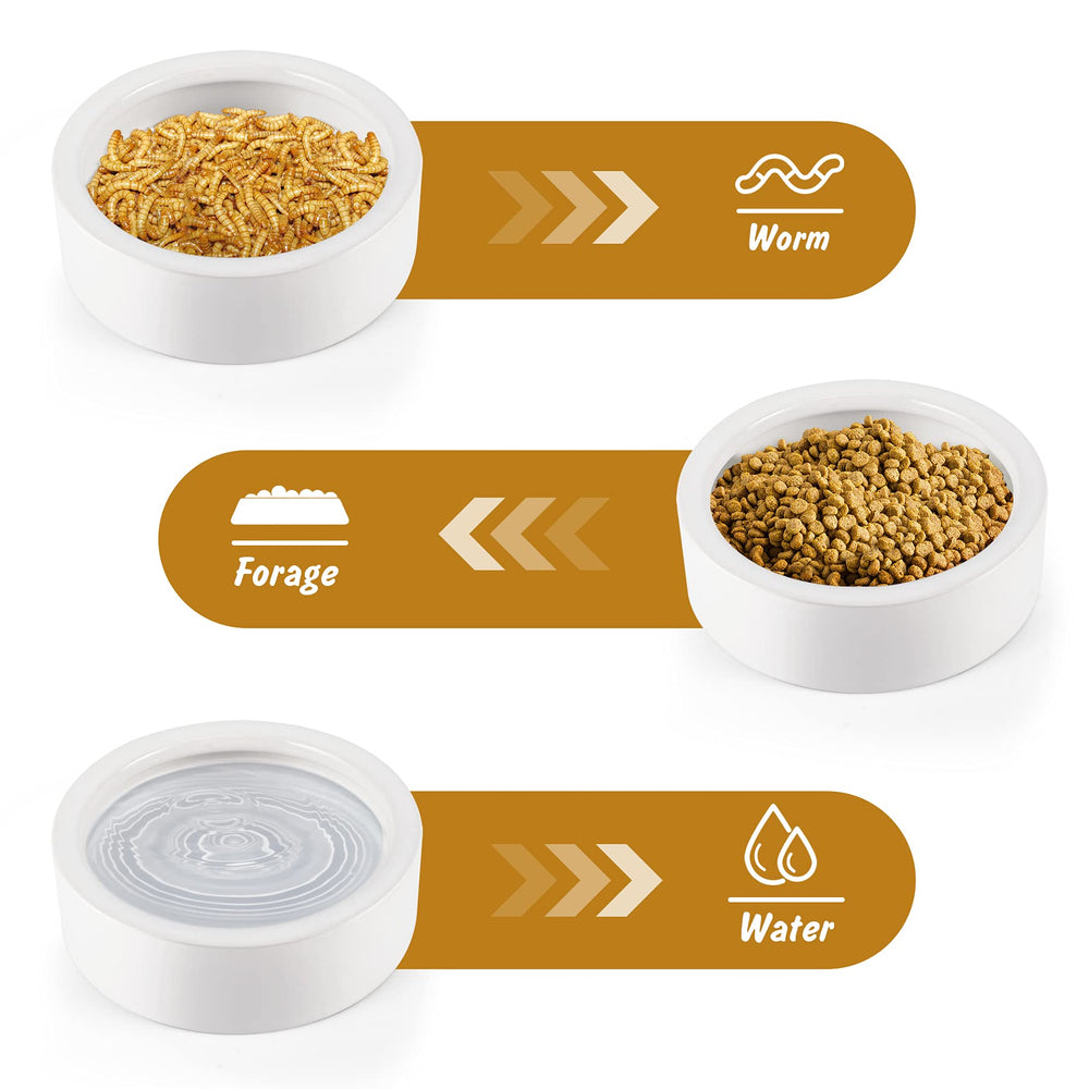 HELIME tailles Petit Grand XL adaptées pour divers reptiles et amphibiens