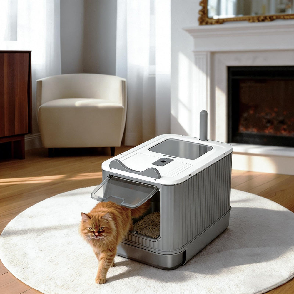 Helntova litière: tapis et pelle inclus pour un nettoyage pratique.