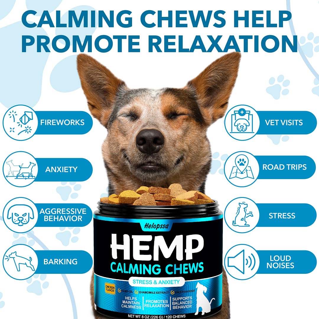 Helopssa friandises apaisantes pour chiens – chien détendu à la maison.