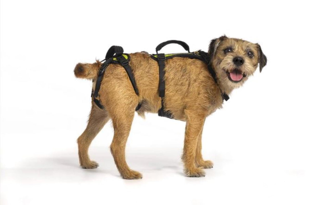 Harnais Help 'Em Up: relevage du corps pour chien et confort durable.