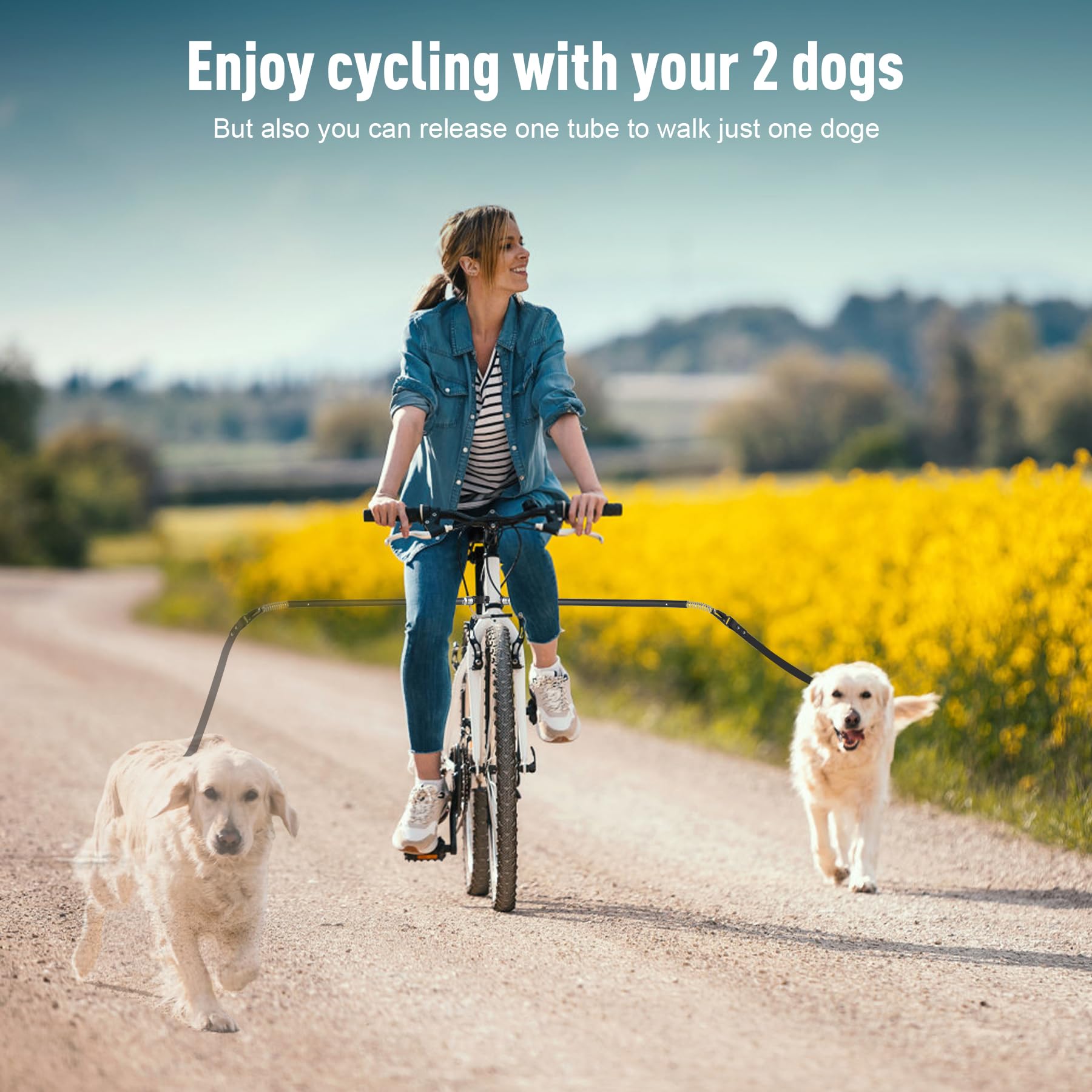 Conçu pour le cycliste amateur qui aime sortir avec deux chiens.