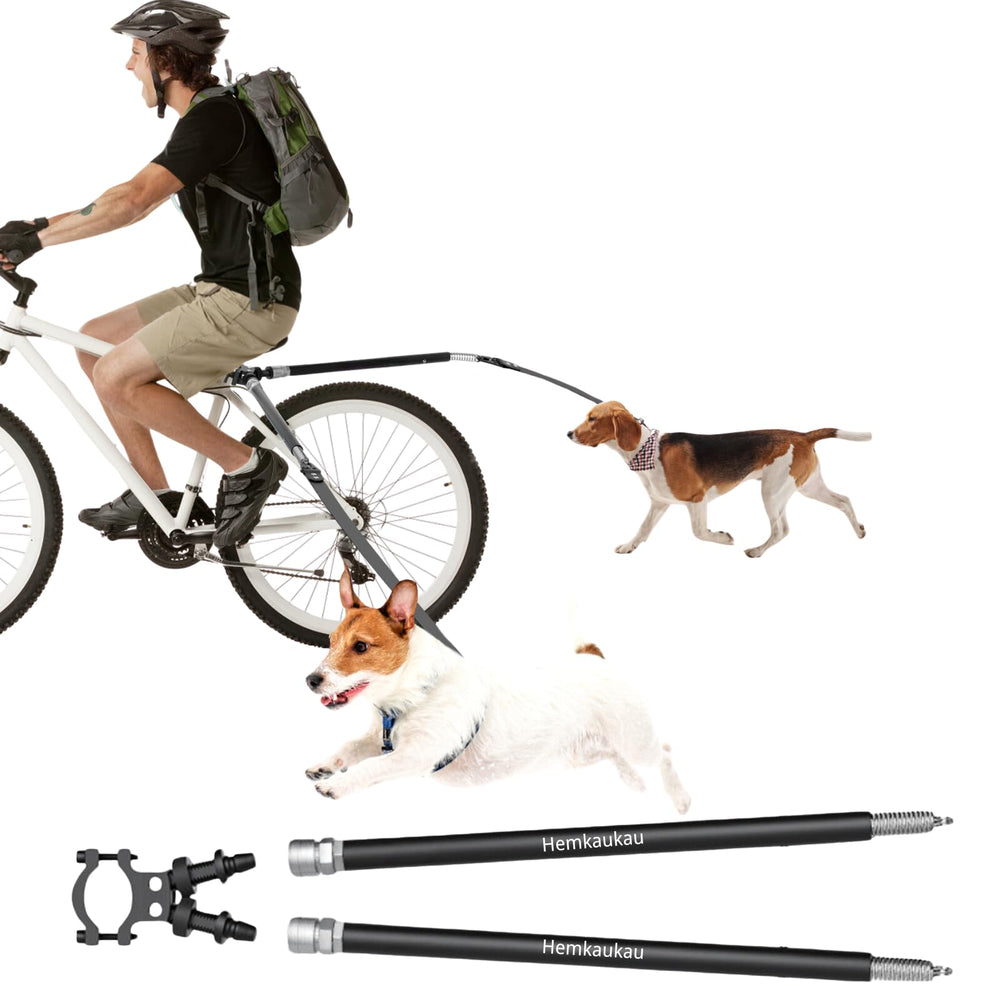 Laisse Hemkaukau double pour deux chiens pendant une balade à vélo.