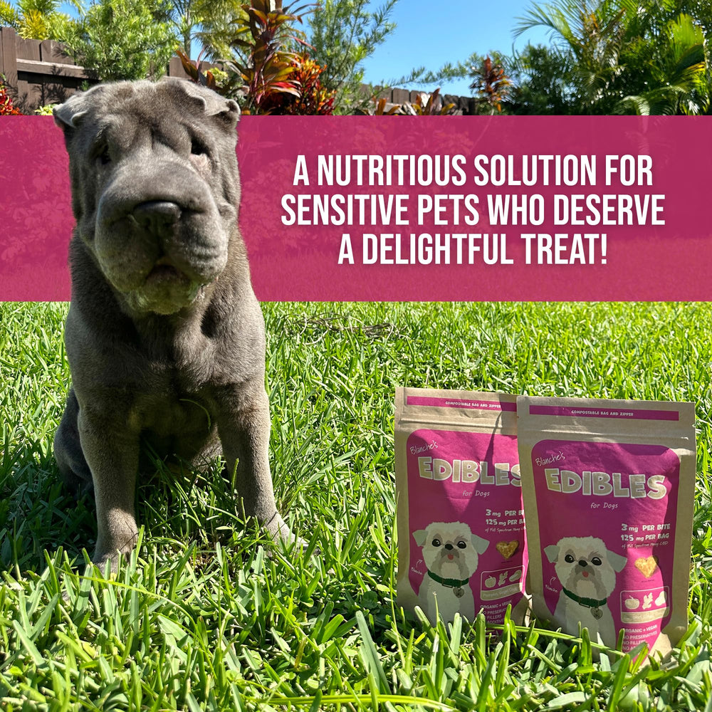 Soutien des articulations avec les friandises Hemp Dog Health Blanche
