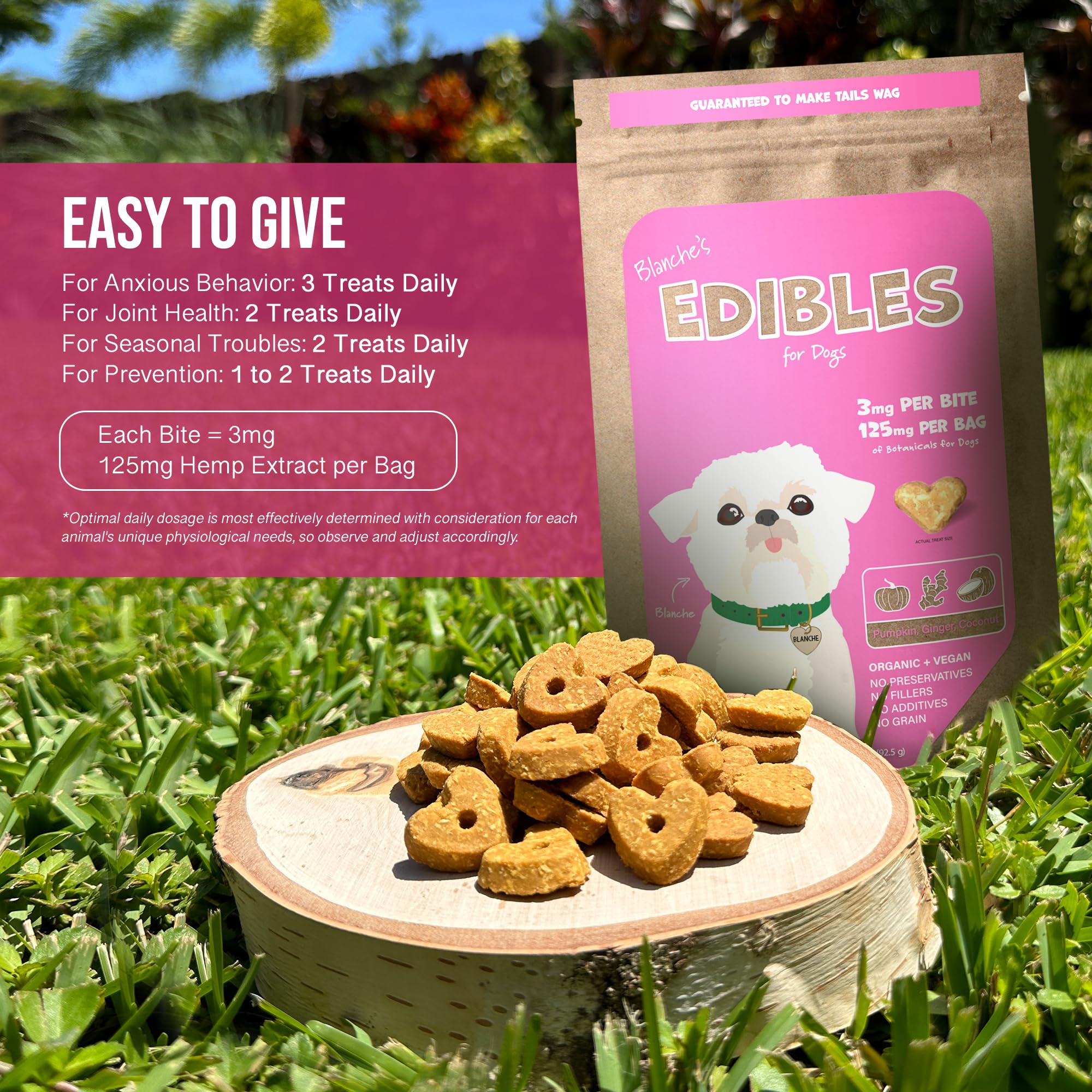 Extrait de hemp 3 mg par bouchée Hemp Dog Health Blanche