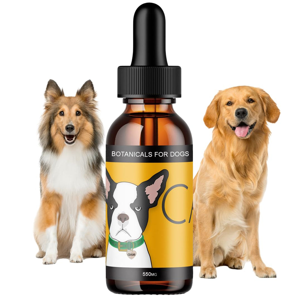 Étiquette et flacon Hemp Dog Health Calm, prêt à une utilisation facile.