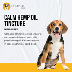 Gouttes appliquées sur les gencives avec Hemp Dog Health Calm pour un usage pratique.
