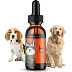 Hemp Dog Health Ease: flacon-pipette pour le confort quotidien du chien