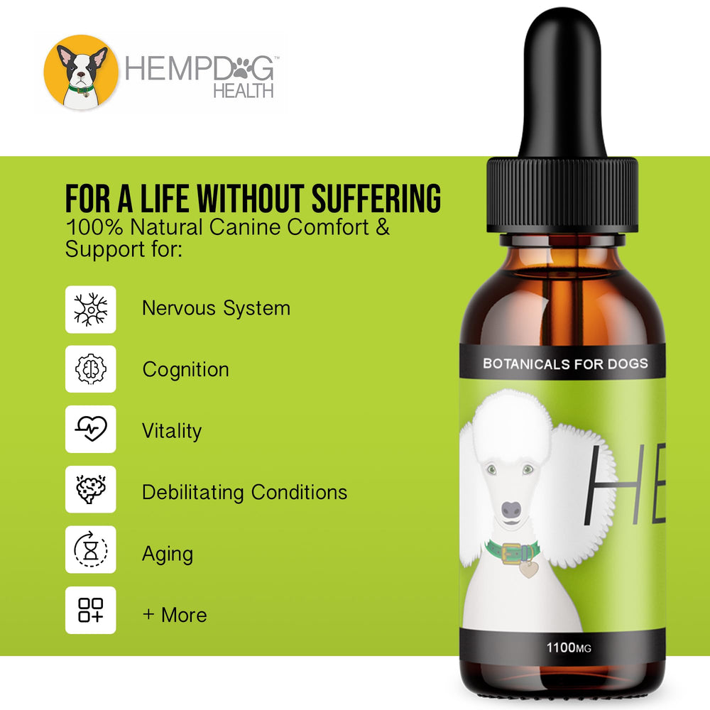 Fréquence d'utilisation et équilibre neurologique potentiel avec Hemp Dog Health HEAL.