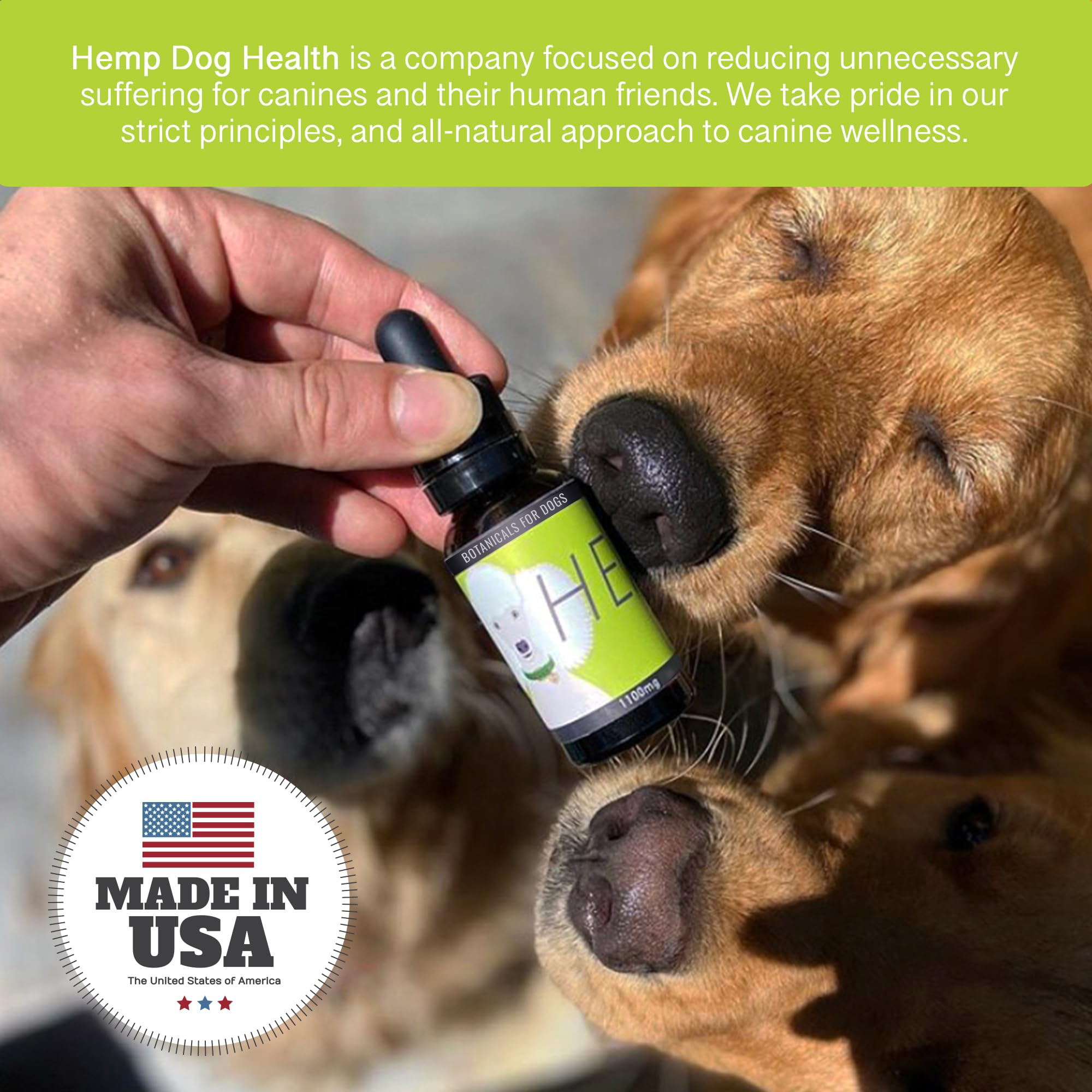 Massage léger autour de l'oreille avec Hemp Dog Health HEAL.
