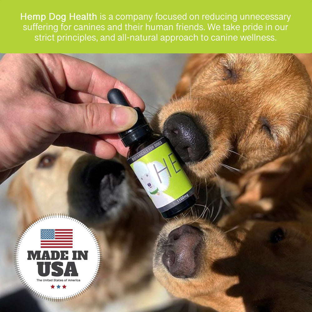 Massage léger autour de l'oreille avec Hemp Dog Health HEAL.