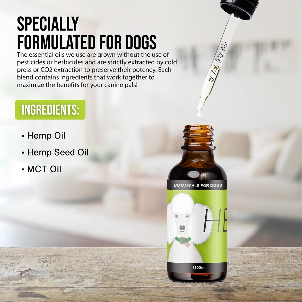 Routine quotidienne simple grâce à Hemp Dog Health HEAL.